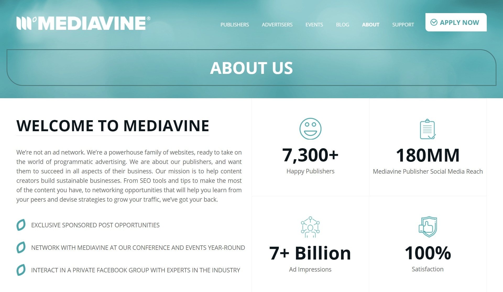 Screengrab from Mediavine 'About Us' page